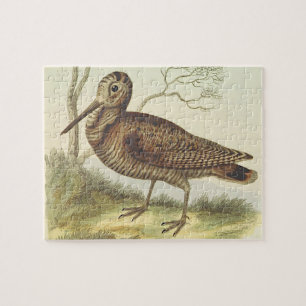 kijk op het staande vogel legpuzzel