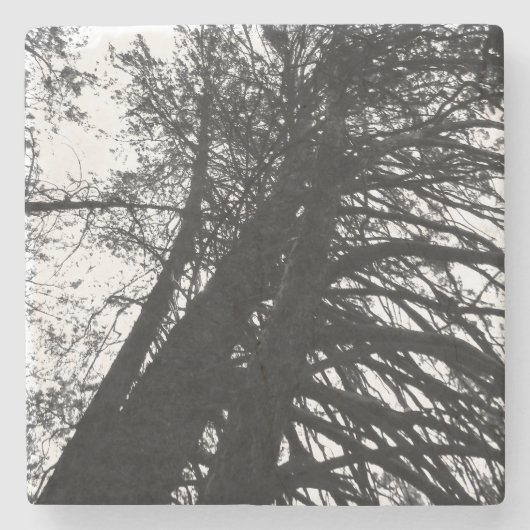 Kijk op in de bomen stenen onderzetter (Voorkant)