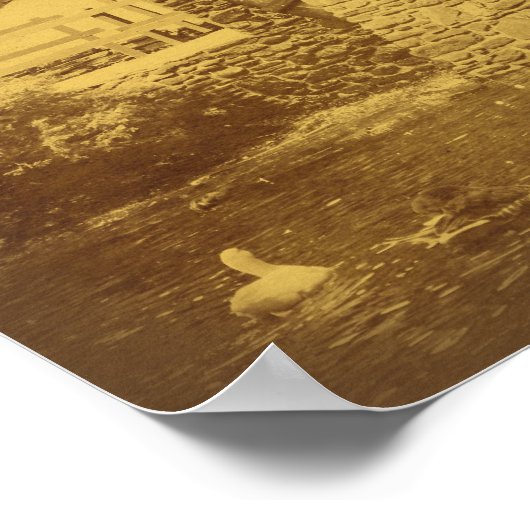  kijk op waterwiel Duck Pond Poster (Hoek)