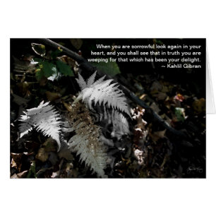 Kijk opnieuw in je hart