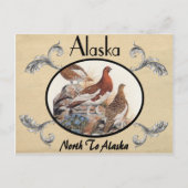  kijk Oude Briefkaart Alaska Staat (Voorkant)