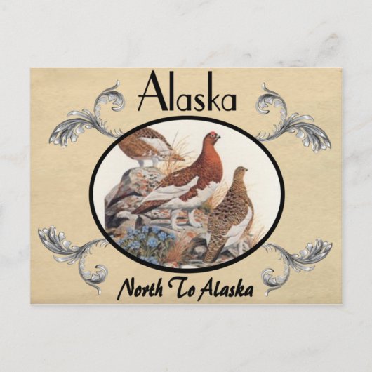 kijk Oude Briefkaart Alaska Staat (Voorkant)