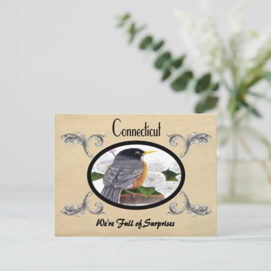  kijk Oude Briefkaart Connecticut (Staand voorkant)