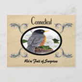  kijk Oude Briefkaart Connecticut (Voorkant)