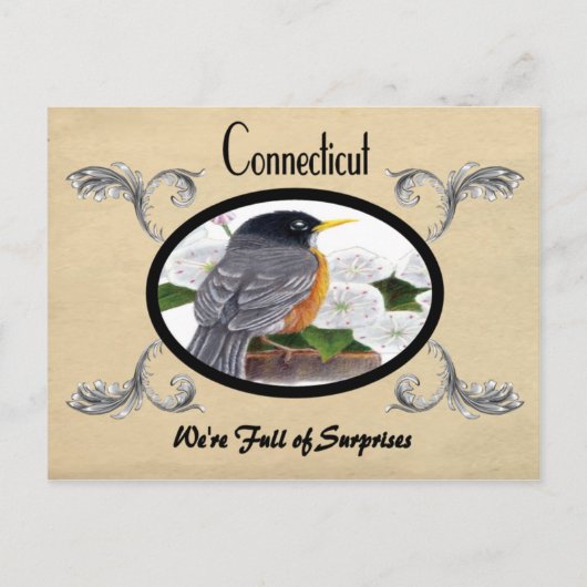  kijk Oude Briefkaart Connecticut (Voorkant)