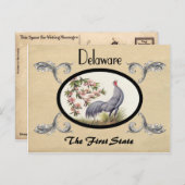  kijk Oude Briefkaart Delaware Staat (Voorkant / Achterkant)