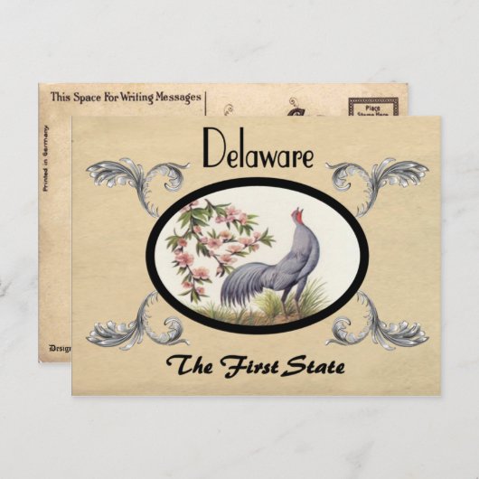  kijk Oude Briefkaart Delaware Staat (Voorkant / Achterkant)