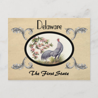  kijk Oude Briefkaart Delaware Staat