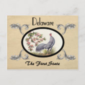 kijk Oude Briefkaart Delaware Staat (Voorkant)