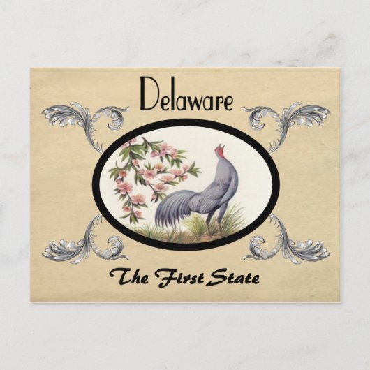  kijk Oude Briefkaart Delaware Staat (Voorkant)