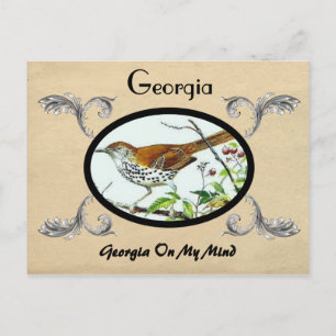  kijk Oude Briefkaart Georgische Ststa