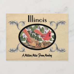 Kijk Oude Briefkaart Illinois staat