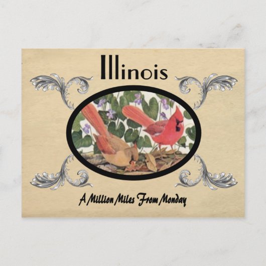  Kijk Oude Briefkaart Illinois staat (Voorkant)