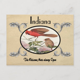  kijk Oude Briefkaart Indiana Staat