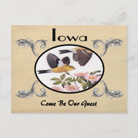  kijk Oude Briefkaart Iowa Staat (Voorkant)