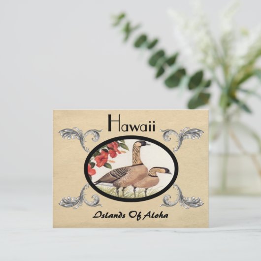  kijk Oude Briefkaart Staat Hawaï (Staand voorkant)