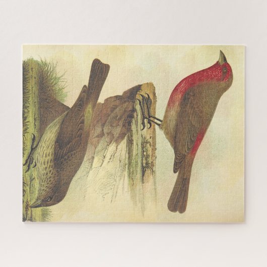  kijk, twee staande vogels puzzel legpuzzel (Horizontaal)