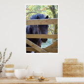 Kijk uit. [Afdrukken] Poster (Keuken)