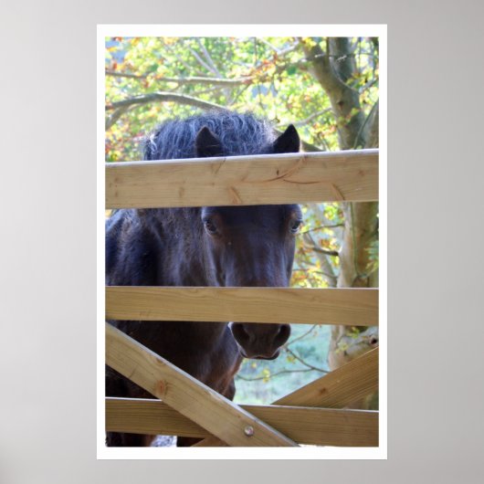 Kijk uit. [Afdrukken] Poster (Voorkant)