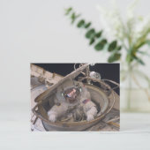 Kijk uit briefkaart (Staand voorkant)