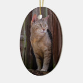 kijk uit kat porselein ornament (Links)