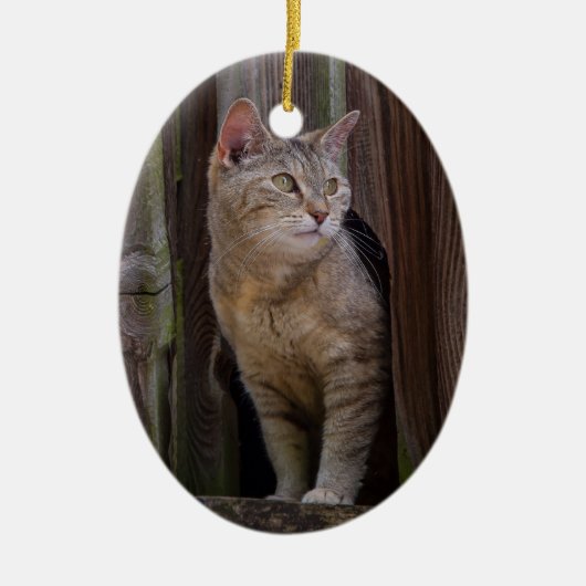 kijk uit kat porselein ornament (Voorkant)