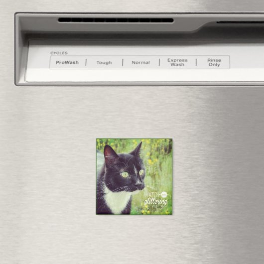 Kijk uit met een glazige kleurstof magneet (Insitu (Vaatwasser))