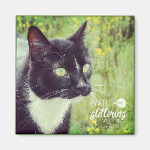 Kijk uit met een glazige kleurstof magneet (Voorkant)