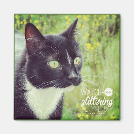 Kijk uit met een glazige kleurstof magneet