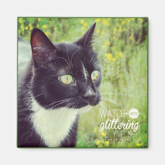 Kijk uit met een glazige kleurstof magneet (Voorkant)