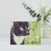Kijk uit met Glittering Eyes Cat Briefkaart (Staand voorkant)