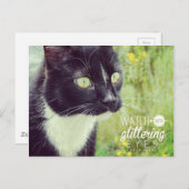 Kijk uit met Glittering Eyes Cat Briefkaart (Voorkant / Achterkant)