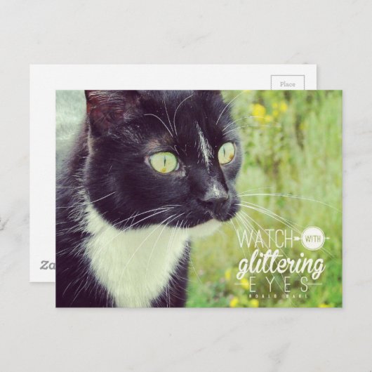 Kijk uit met Glittering Eyes Cat Briefkaart (Voorkant / Achterkant)