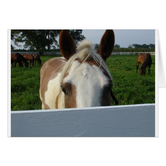 Kijk uit paard (Voorkant Horizontaal)