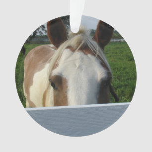 Kijk uit Paard Palomino achter hek Ornament