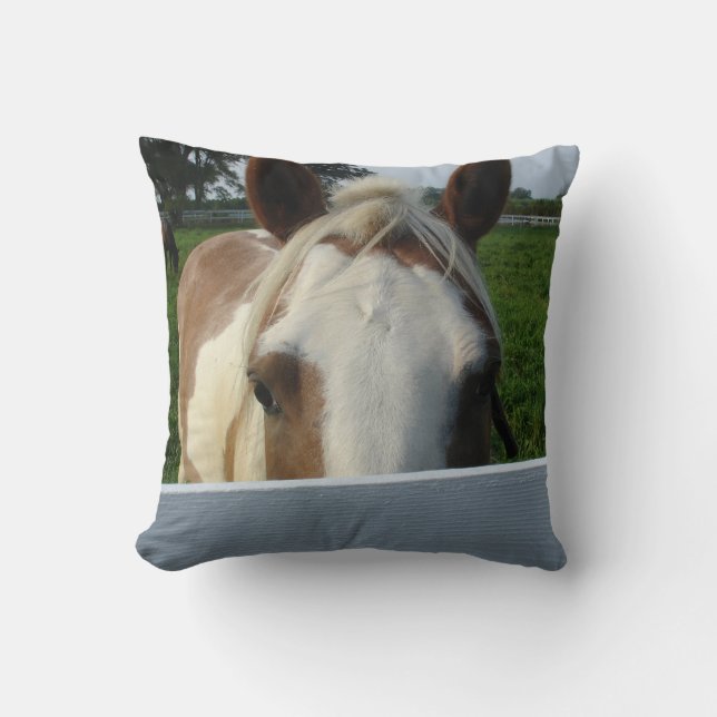 Kijk uit paardenkussen kussen (Voorkant)