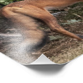 Kijk uit voor mijn broerfoto foto afdruk (Hoek)