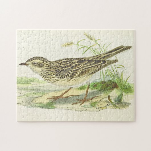  kijk vogel op de grond legpuzzel (Horizontaal)