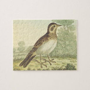 kijk, vogel staat op de grond legpuzzel