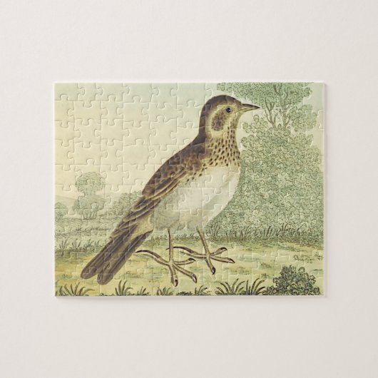  kijk, vogel staat op de grond legpuzzel (Horizontaal)