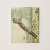  kijk, vogel staat op de grond legpuzzel (Verticaal)