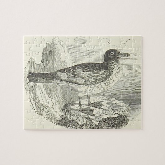  kijk, vogel staat op een Rock Puzzle Legpuzzel (Horizontaal)