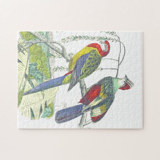 kijk, vogels die vastzitten op een Branch Puzzle Legpuzzel (Horizontaal)