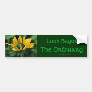 Kijk voorbij de Inspirerend Bumpersticker