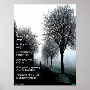 Kijk voordat je springt poster