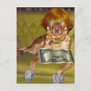 KIJK WAT IK DOEN VOOR GELD BRIEFKAART