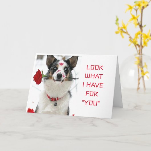 KIJK WAT "IK HEB VOOR U" SPECIALE DAG OF NACHT KAART (Gele Bloem)