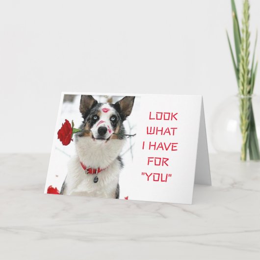 KIJK WAT "IK HEB VOOR U" SPECIALE DAG OF NACHT KAART (Voorkant)