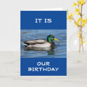 KIJK 'WEDERZIJDSE BIRTHDAY' EENS!!! KAART (Gele Bloem)