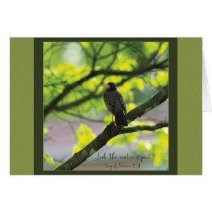 Kijk winter is voorbij Parakaleo kaart